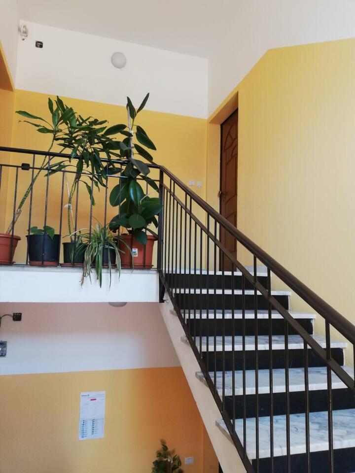 Casa Giulia Al Centro Di Olbia Codice Iun P4011 Apartment Luaran gambar